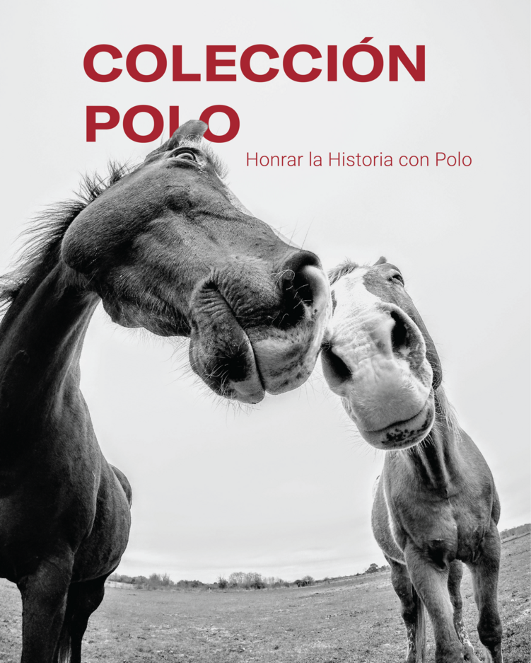 Polo Collection - Honour History with Polo