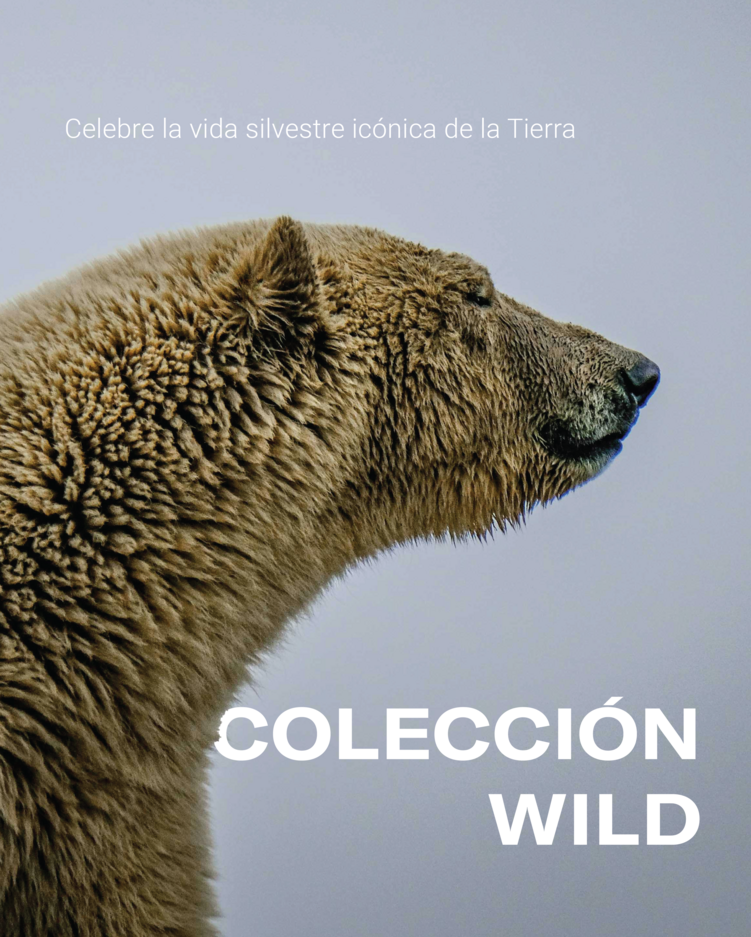 Wild Collection - Celebrate Earths Iconic wildlife